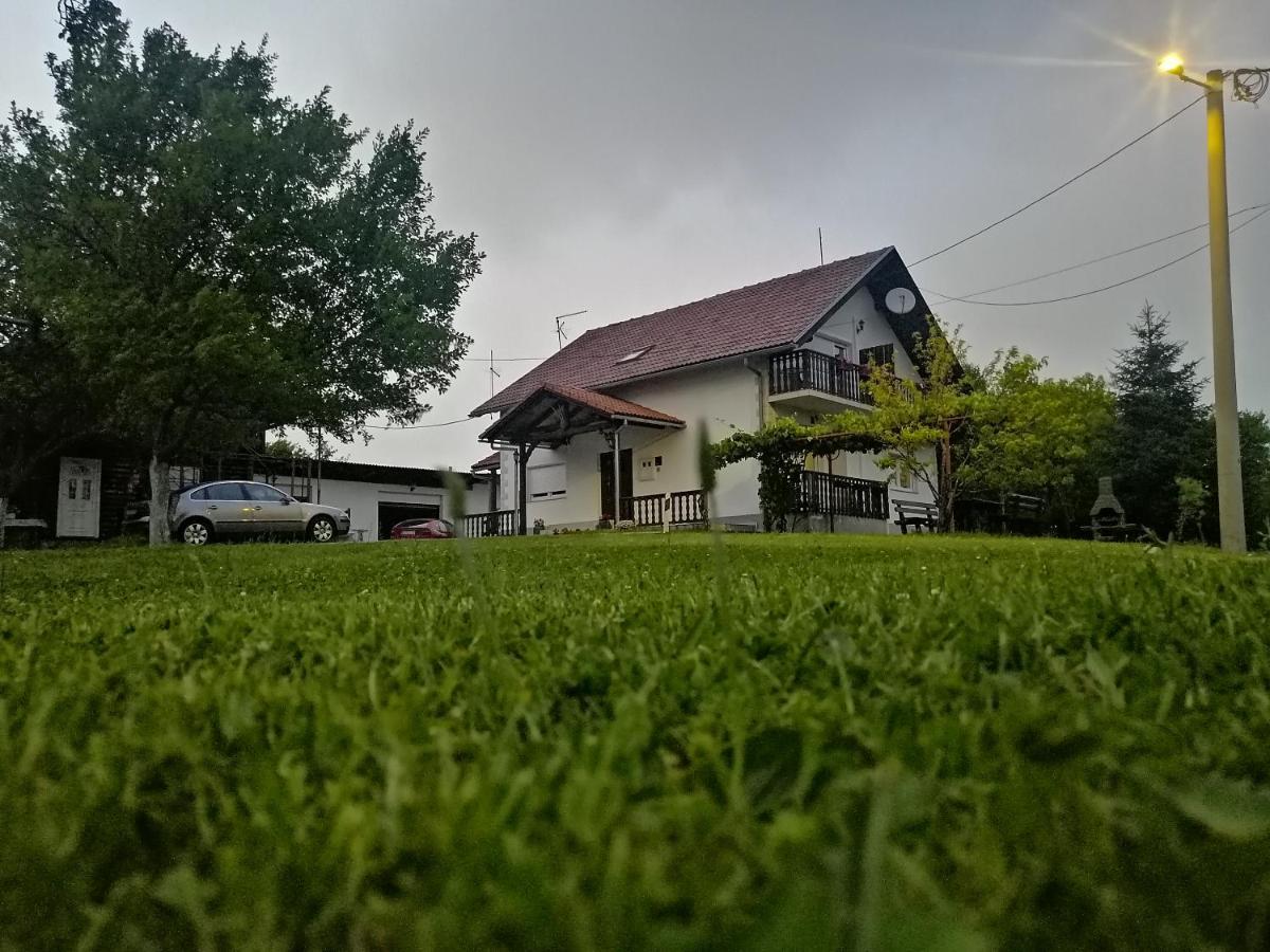 House Viktoria Hotel เซลิสเต เดรซิสโก ภายนอก รูปภาพ